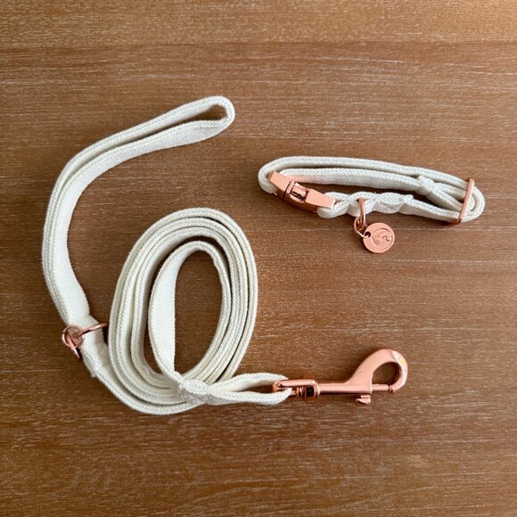 DOGWONG Dog Collar and Leash White - XS - Picture 3 of 5